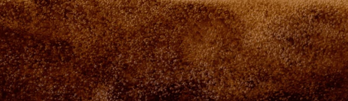 Cafés Longos banner