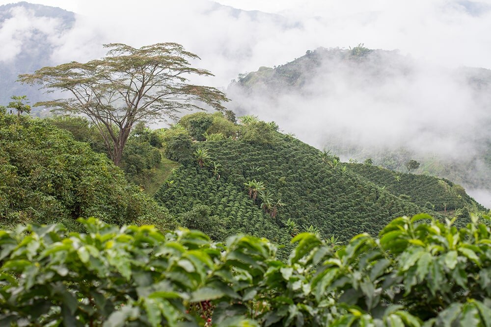 Colômbia