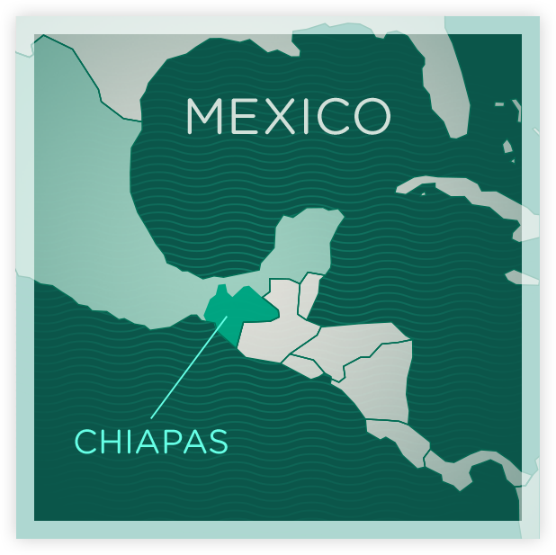 ndg-mexico-map