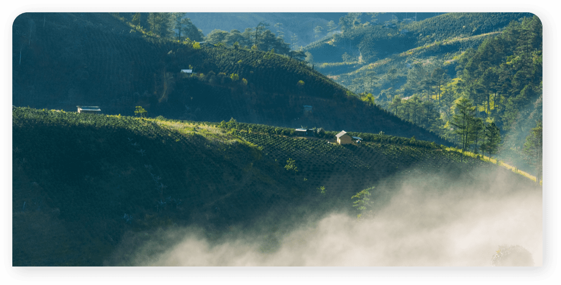 Vietnã