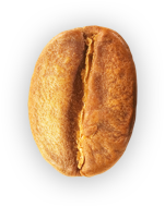 grão de café